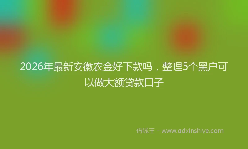 2026年最新安徽农金好下款吗，整理5个黑户可以做大额贷款口子