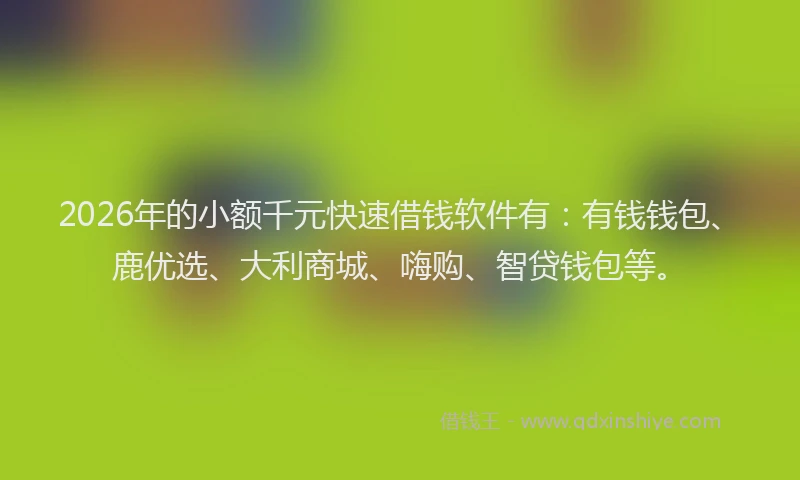 2026年的小额千元快速借钱软件有:有钱钱包、鹿优选、大利商城、嗨购、智贷钱包等。