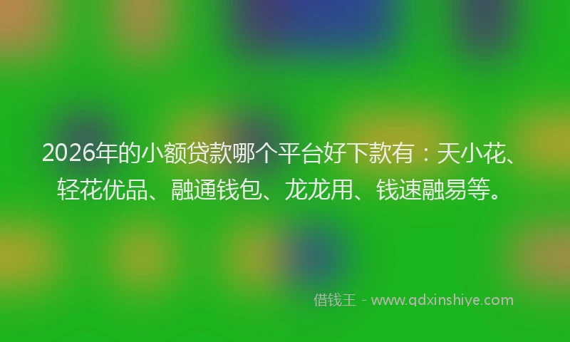 2026年的小额贷款哪个平台好下款有：天小花、轻花优品、融通钱包、龙龙用、钱速融易等。