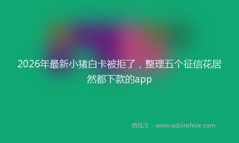 2026年最新小猪白卡被拒了，整理五个征信花居然都下款的app