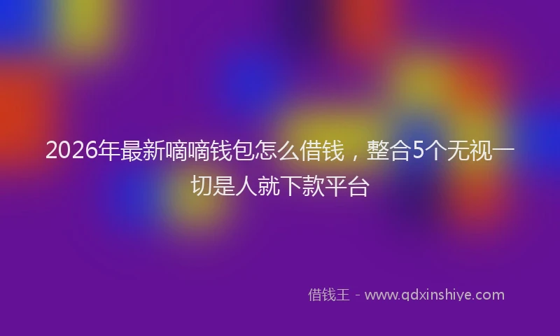2026年最新嘀嘀钱包怎么借钱，整合5个无视一切是人就下款平台