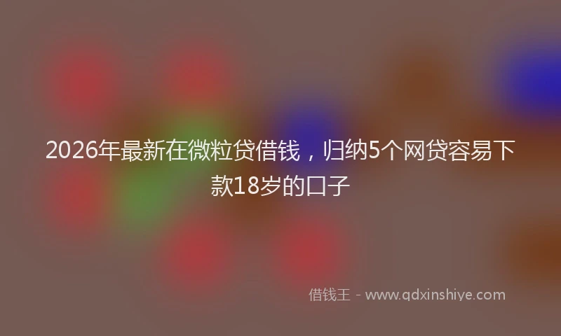 2026年最新在微粒贷借钱，归纳5个网贷容易下款18岁的口子