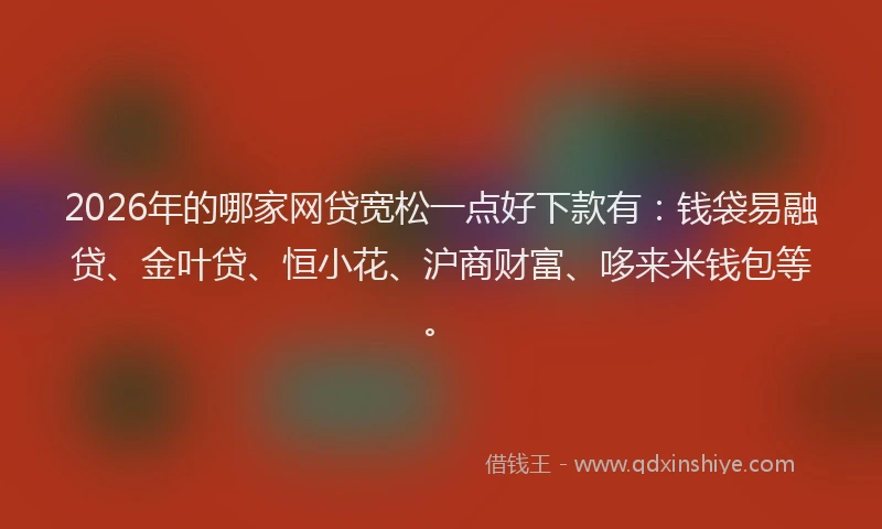 2026年的哪家网贷宽松一点好下款有：钱袋易融贷、金叶贷、恒小花、沪商财富、哆来米钱包等。