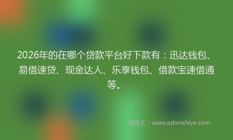 2026年的在哪个贷款平台好下款有:迅达钱包、易借速贷、现金达人、乐享钱包、借款宝速借通等。