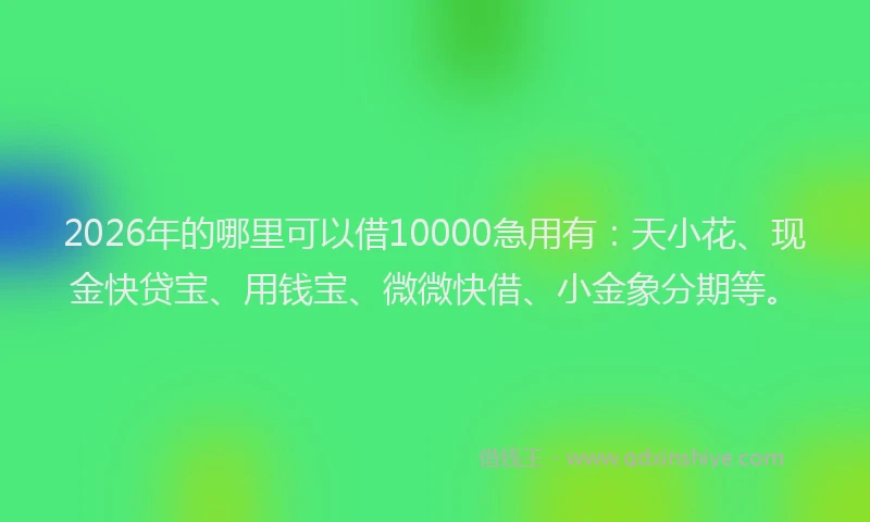 2026年的哪里可以借10000急用有：天小花、现金快贷宝、用钱宝、微微快借、小金象分期等。