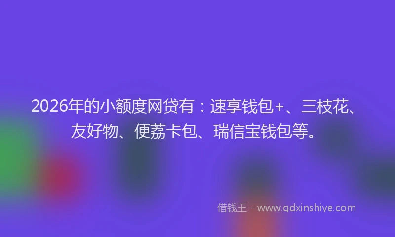 2026年的小额度网贷有：速享钱包+、三枝花、友好物、便荔卡包、瑞信宝钱包等。