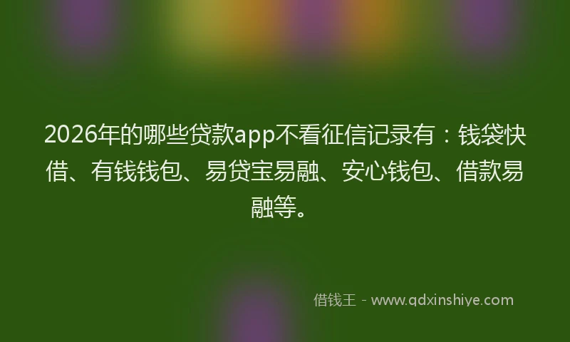 2026年的哪些贷款app不看征信记录有：钱袋快借、有钱钱包、易贷宝易融、安心钱包、借款易融等。