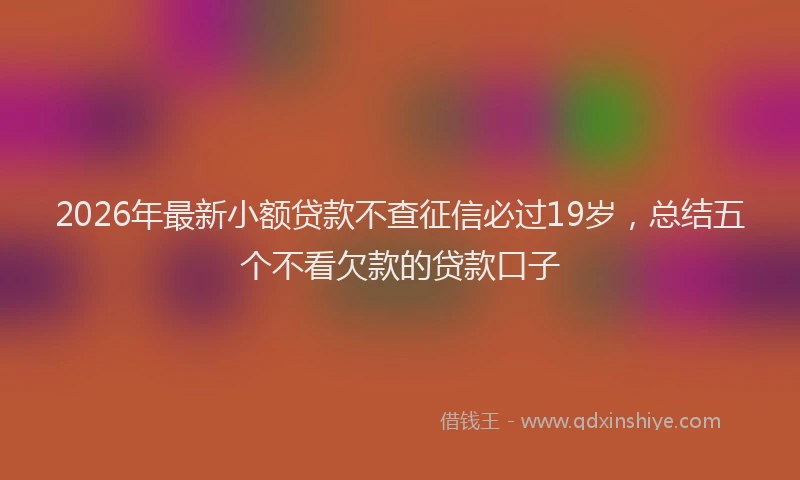 2026年最新小额贷款不查征信必过19岁，总结五个不看欠款的贷款口子