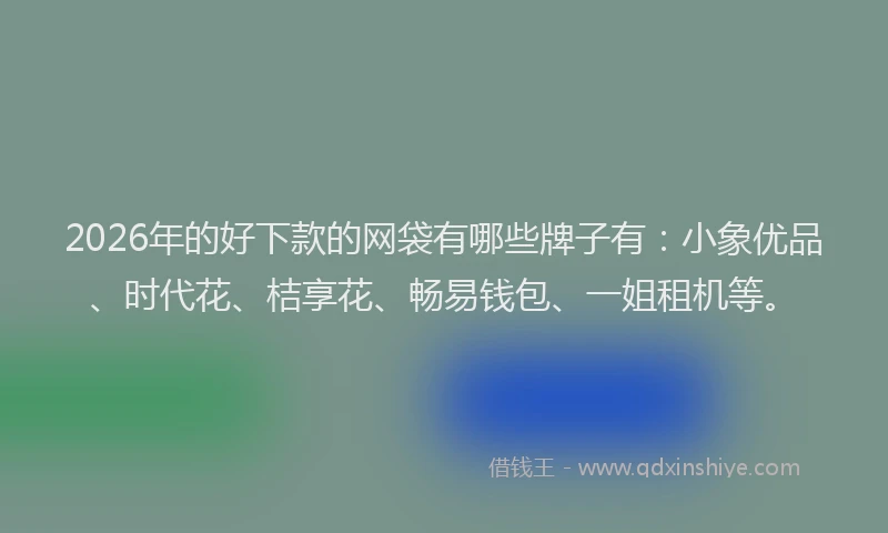 2026年的好下款的网袋有哪些牌子有：小象优品、时代花、桔享花、畅易钱包、一姐租机等。