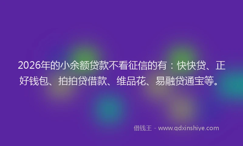 2026年的小余额贷款不看征信的有：快快贷、正好钱包、拍拍贷借款、维品花、易融贷通宝等。