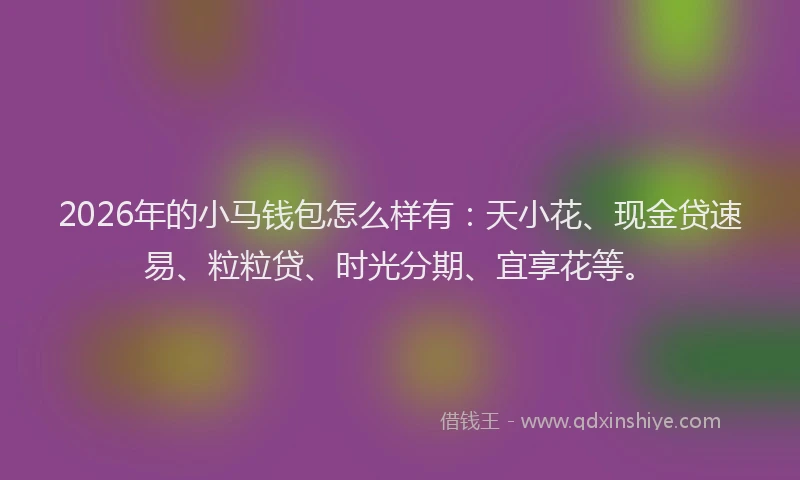 2026年的小马钱包怎么样有：天小花、现金贷速易、粒粒贷、时光分期、宜享花等。