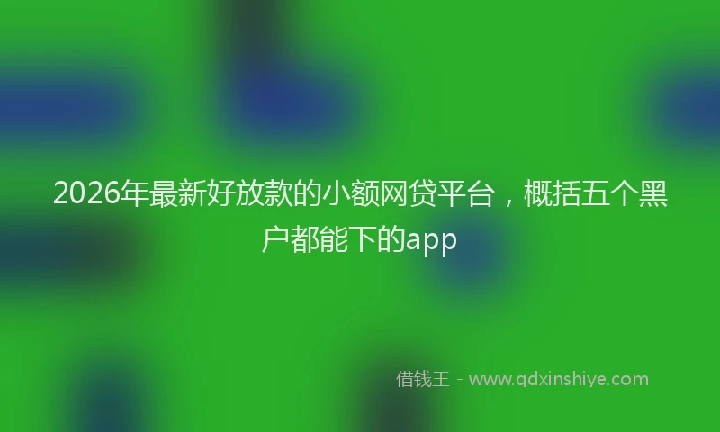 2026年最新好放款的小额网贷平台，概括五个黑户都能下的app
