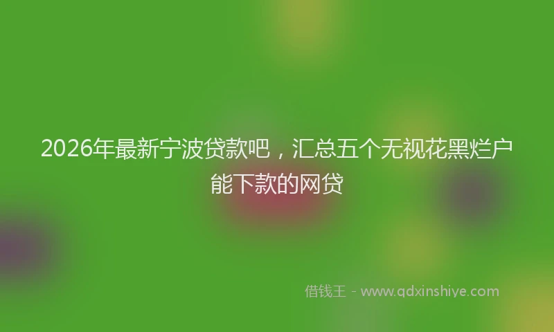 2026年最新宁波贷款吧，汇总五个无视花黑烂户能下款的网贷