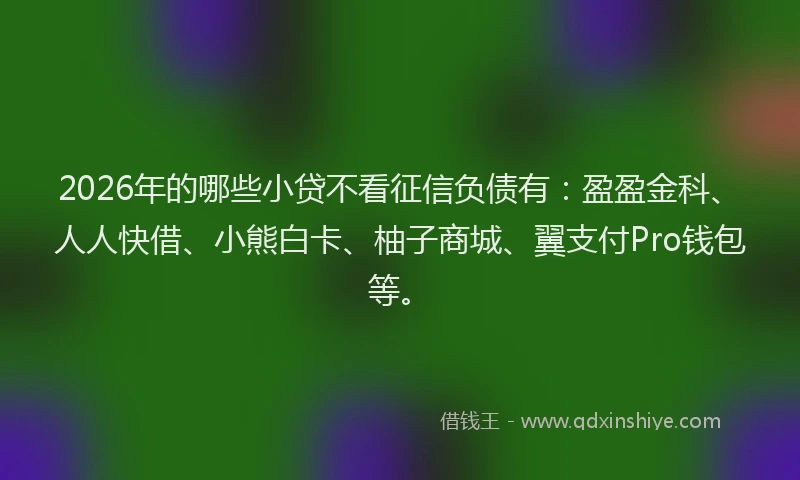 2026年的哪些小贷不看征信负债有:盈盈金科、人人快借、小熊白卡、柚子商城、翼支付Pro钱包等。