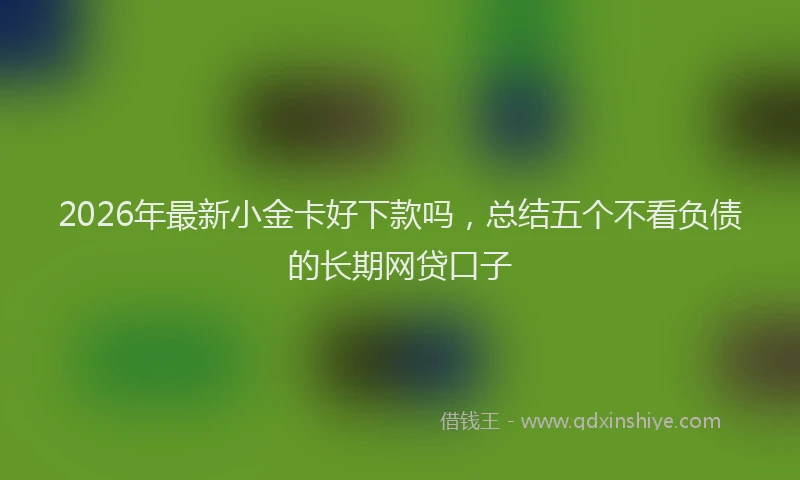 2026年最新小金卡好下款吗，总结五个不看负债的长期网贷口子