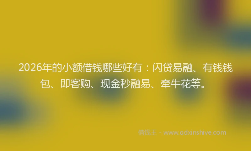 2026年的小额借钱哪些好有：闪贷易融、有钱钱包、即客购、现金秒融易、牵牛花等。