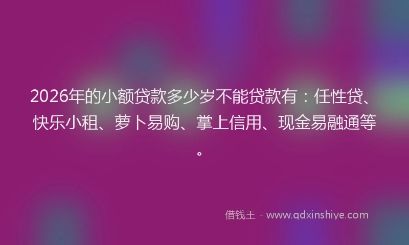 2026年的小额贷款多少岁不能贷款有：任性贷、快乐小租、萝卜易购、掌上信用、现金易融通等。