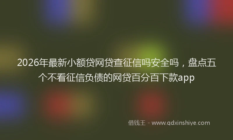 2026年最新小额贷网贷查征信吗安全吗，盘点五个不看征信负债的网贷百分百下款app