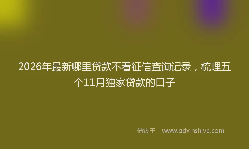 2026年最新哪里贷款不看征信查询记录,梳理五个11月独家贷款的口子
