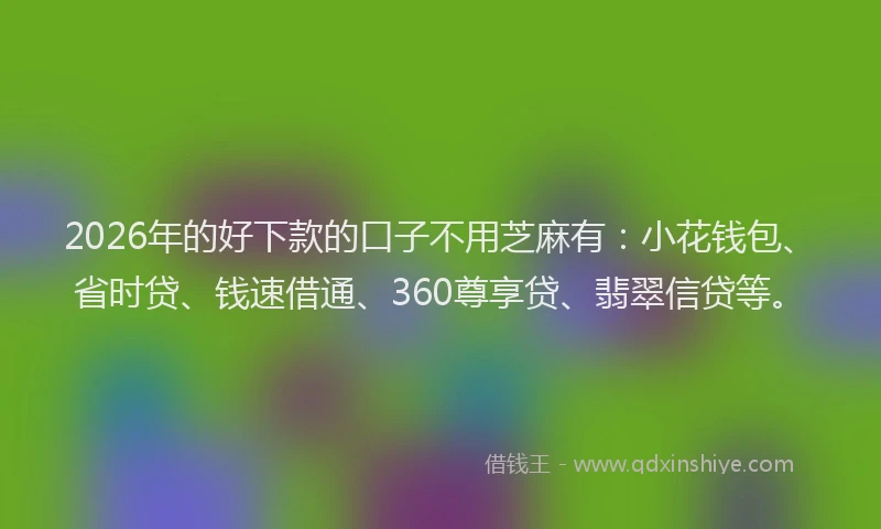 2026年的好下款的口子不用芝麻有：小花钱包、省时贷、钱速借通、360尊享贷、翡翠信贷等。