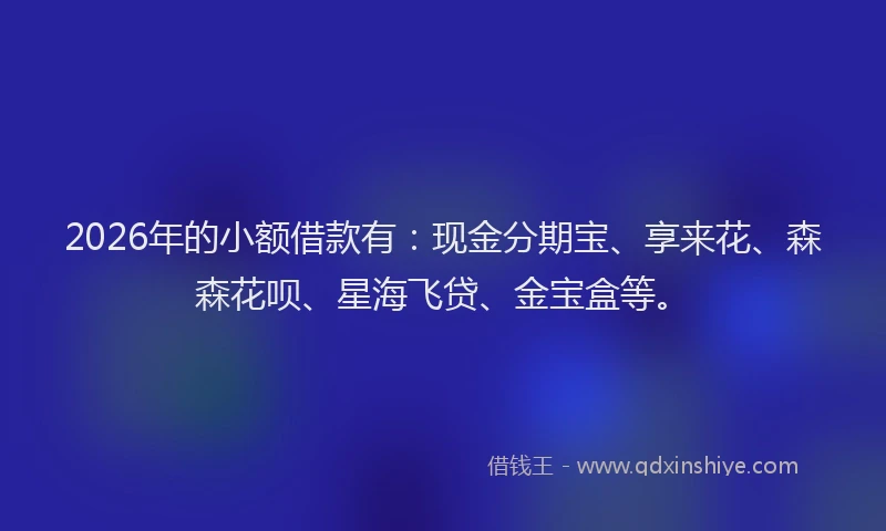 2026年的小额借款有：现金分期宝、享来花、森森花呗、星海飞贷、金宝盒等。