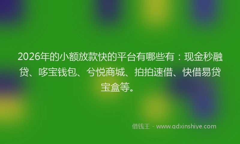 2026年的小额放款快的平台有哪些有：现金秒融贷、哆宝钱包、兮悦商城、拍拍速借、快借易贷宝盒等。