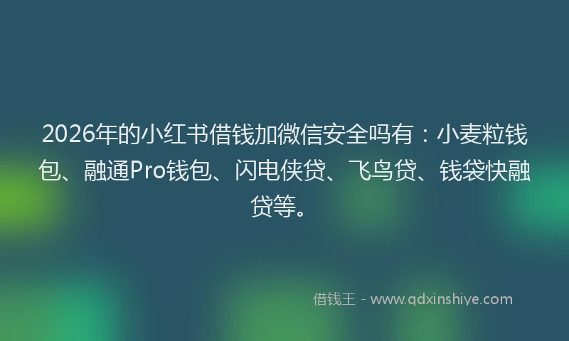 2026年的小红书借钱加微信安全吗有：小麦粒钱包、融通Pro钱包、闪电侠贷、飞鸟贷、钱袋快融贷等。