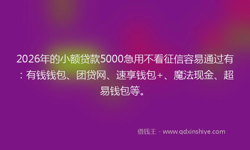 2026年的小额贷款5000急用不看征信容易通过有：有钱钱包、团贷网、速享钱包+、魔法现金、超易钱包等。