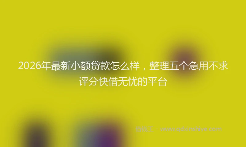 2026年最新小额贷款怎么样，整理五个急用不求评分快借无忧的平台