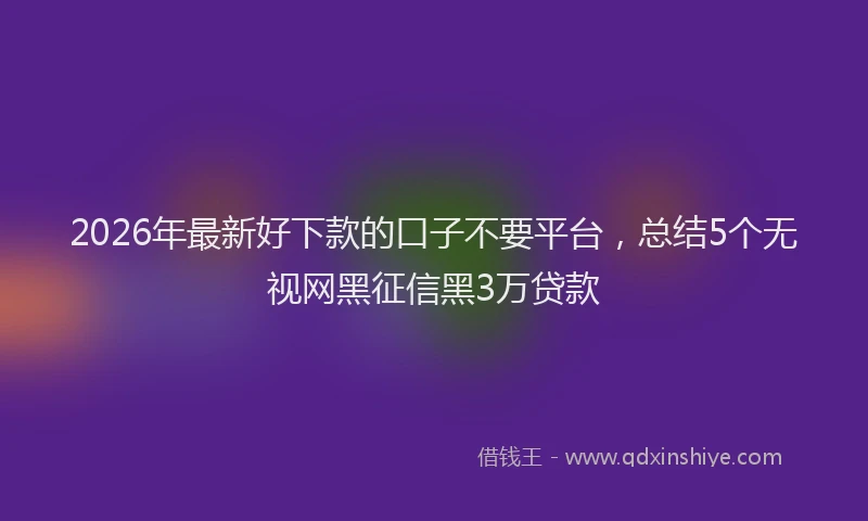2026年最新好下款的口子不要平台，总结5个无视网黑征信黑3万贷款