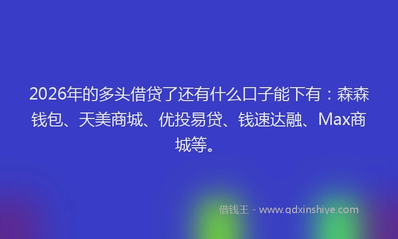 2026年的多头借贷了还有什么口子能下有：森森钱包、天美商城、优投易贷、钱速达融、Max商城等。