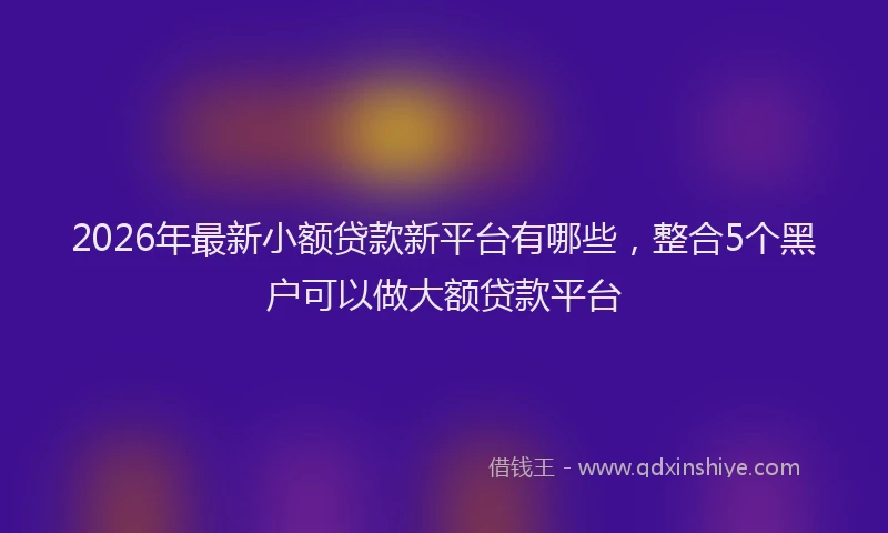 2026年最新小额贷款新平台有哪些，整合5个黑户可以做大额贷款平台