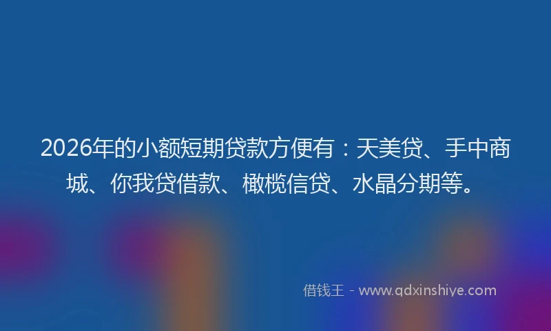 2026年的小额短期贷款方便有：天美贷、手中商城、你我贷借款、橄榄信贷、水晶分期等。