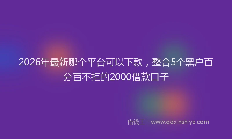 2026年最新哪个平台可以下款,整合5个黑户百分百不拒的2000借款口子
