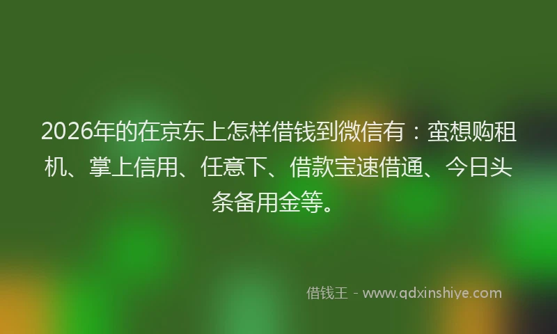 2026年的在京东上怎样借钱到微信有：蛮想购租机、掌上信用、任意下、借款宝速借通、今日头条备用金等。