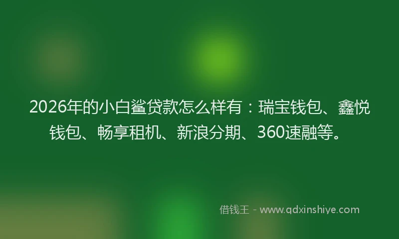 2026年的小白鲨贷款怎么样有：瑞宝钱包、鑫悦钱包、畅享租机、新浪分期、360速融等。