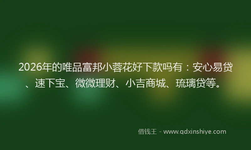 2026年的唯品富邦小蓉花好下款吗有:安心易贷、速下宝、微微理财、小吉商城、琉璃贷等。
