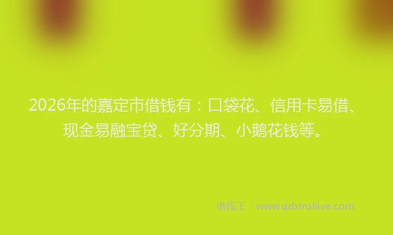 2026年的嘉定市借钱有：口袋花、信用卡易借、现金易融宝贷、好分期、小鹅花钱等。