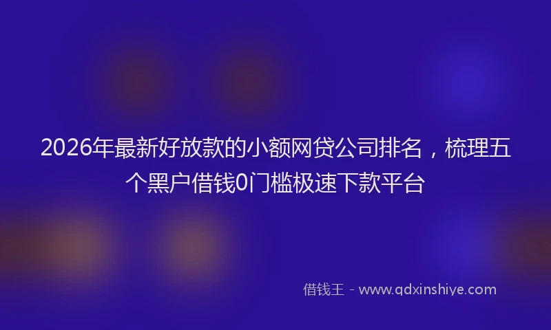 2026年最新好放款的小额网贷公司排名，梳理五个黑户借钱0门槛极速下款平台