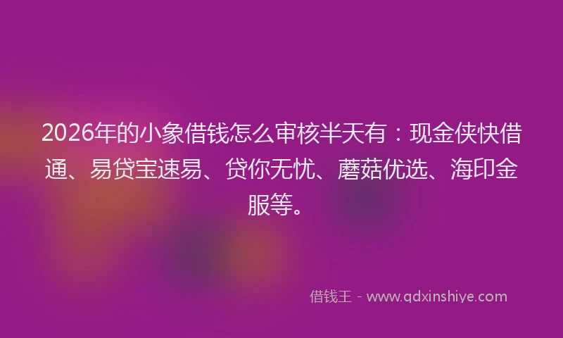 2026年的小象借钱怎么审核半天有：现金侠快借通、易贷宝速易、贷你无忧、蘑菇优选、海印金服等。