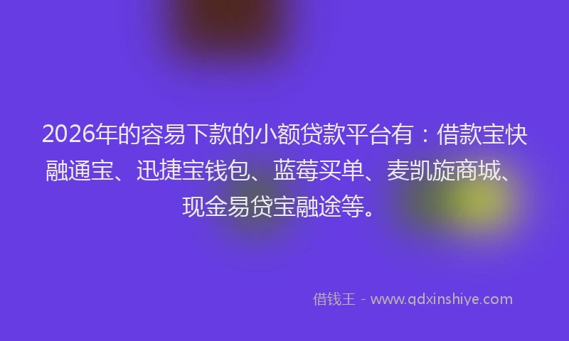 2026年的容易下款的小额贷款平台有：借款宝快融通宝、迅捷宝钱包、蓝莓买单、麦凯旋商城、现金易贷宝融途等。