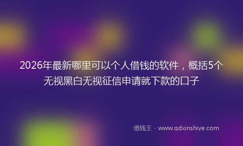 2026年最新哪里可以个人借钱的软件，概括5个无视黑白无视征信申请就下款的口子