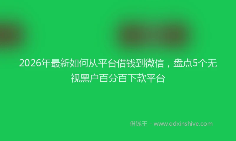 2026年最新如何从平台借钱到微信，盘点5个无视黑户百分百下款平台