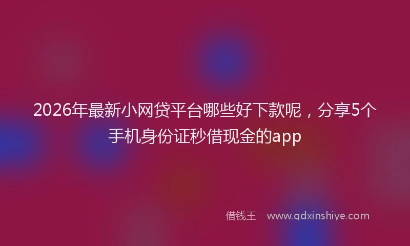2026年最新小网贷平台哪些好下款呢，分享5个手机身份证秒借现金的app