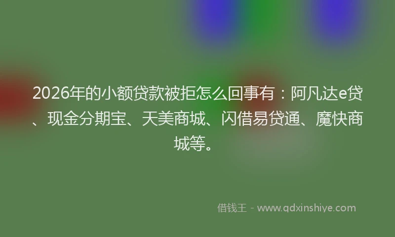 2026年的小额贷款被拒怎么回事有：阿凡达e贷、现金分期宝、天美商城、闪借易贷通、魔快商城等。