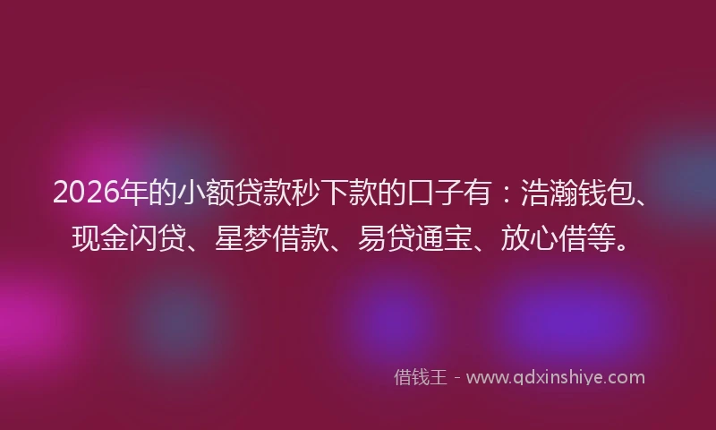 2026年的小额贷款秒下款的口子有：浩瀚钱包、现金闪贷、星梦借款、易贷通宝、放心借等。
