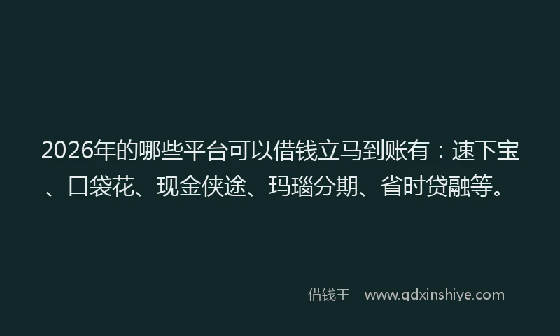 2026年的哪些平台可以借钱立马到账有：速下宝、口袋花、现金侠途、玛瑙分期、省时贷融等。