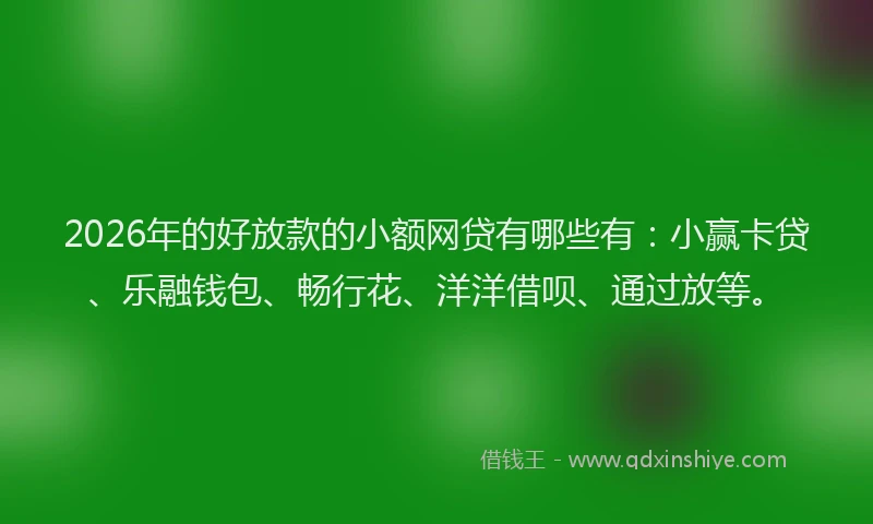 2026年的好放款的小额网贷有哪些有：小赢卡贷、乐融钱包、畅行花、洋洋借呗、通过放等。