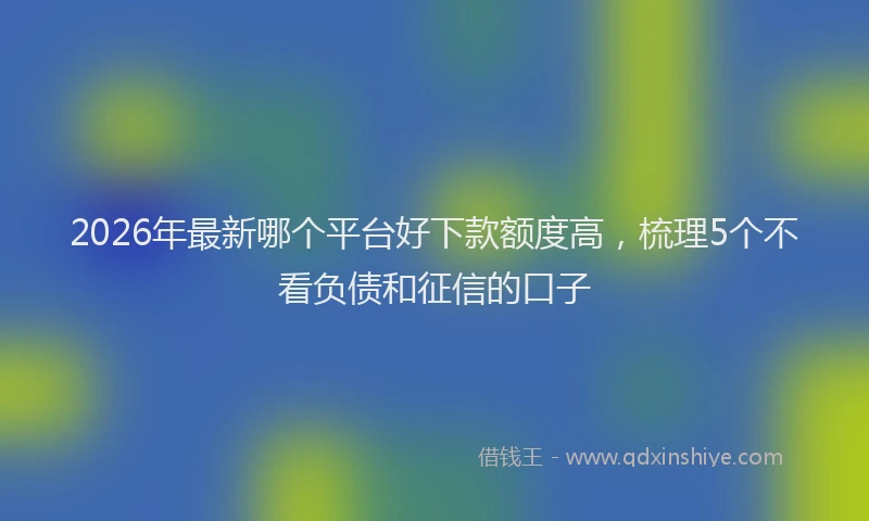 2026年最新哪个平台好下款额度高，梳理5个不看负债和征信的口子