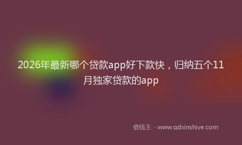 2026年最新哪个贷款app好下款快，归纳五个11月独家贷款的app